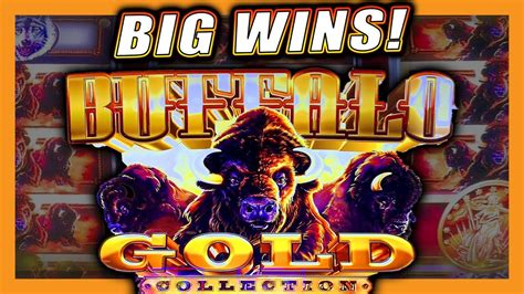 buffalo gold slot wins 2019|The LARGEST Buffalo Gold Slot Play You've Ever Seen!.